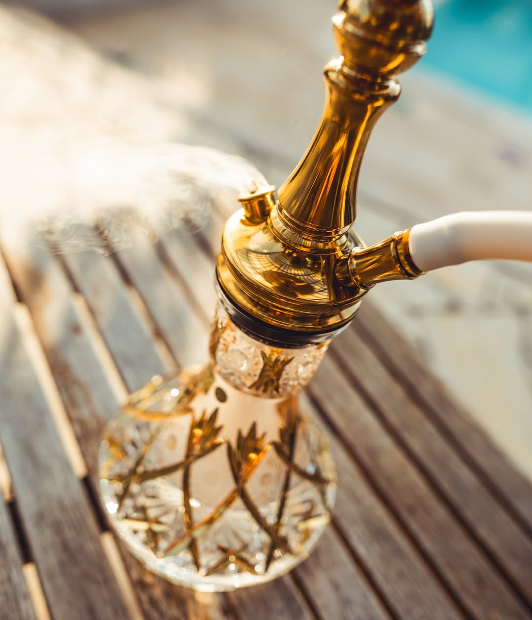 Moze Tradi x Caesar: プレミアムステンレスシーシャ＆カット